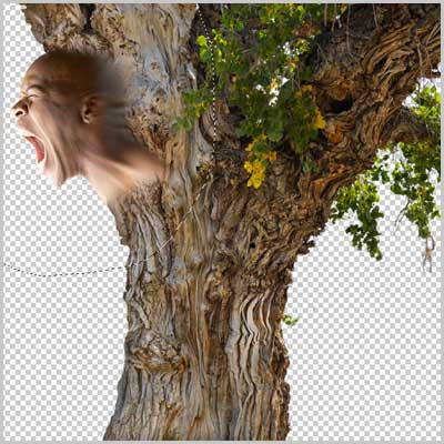 Совмещение человеческой головы с деревом