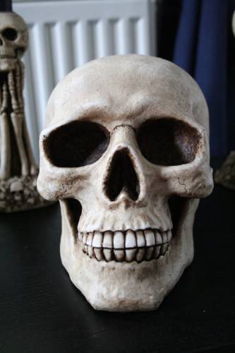 Skull 1 by TwiggXstock